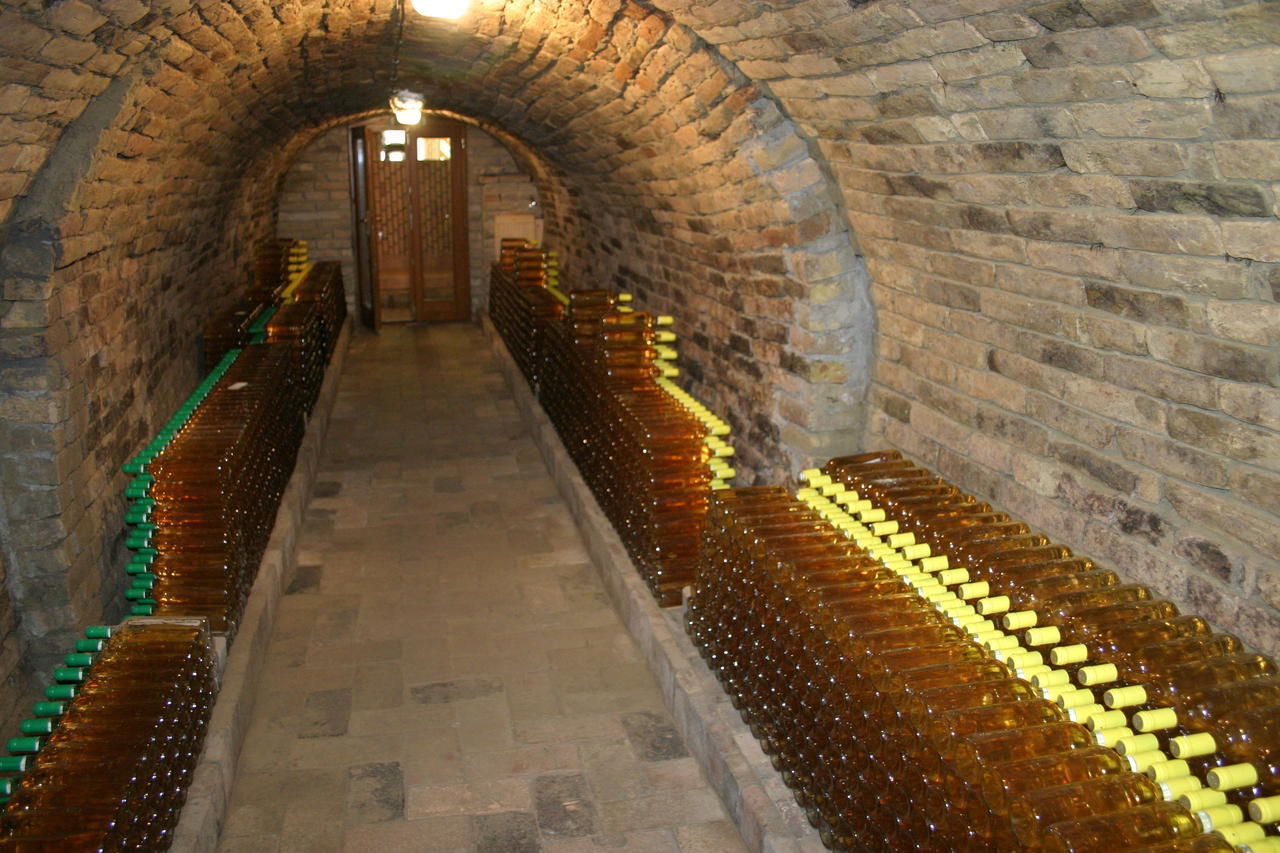 Pincelakat Borház és Szálloda Csaszartoltes Exterior foto