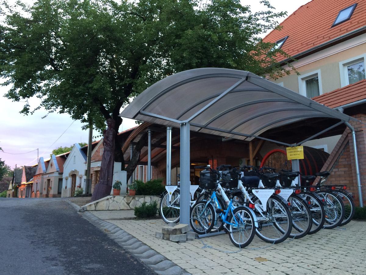 Pincelakat Borház és Szálloda Csaszartoltes Exterior foto