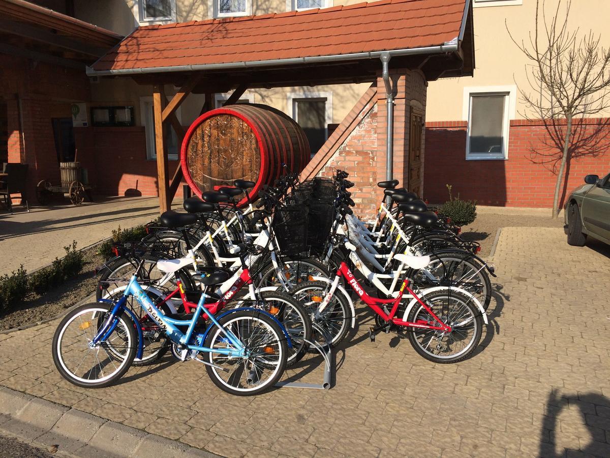 Pincelakat Borház és Szálloda Csaszartoltes Exterior foto