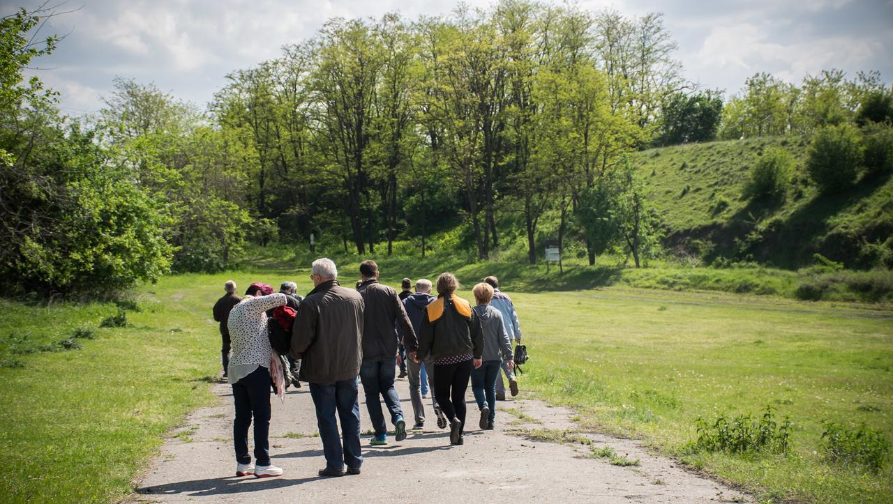 Pincelakat Borház és Szálloda Csaszartoltes Exterior foto